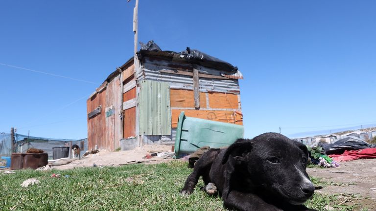 Six-year-old Joshlin Smith's Middelpos informal settlement home, where she disappeared in Saldanha  Pic: Reuters