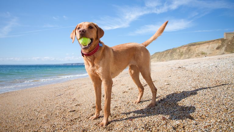 Pic: iStock