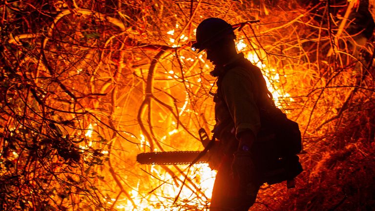 A firefighter works as the Palisades Fire, one of several simultaneous blazes that have ripped across Los Angeles County, burns in Mandeville Canyon, a neighborhood of Los Angeles, California, U.S., January 12, 2025. REUTERS/Ringo Chiu
