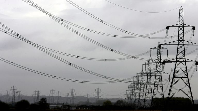 Electricity pylons are seen in the countryside near Liverpool, northern England, April 12, 2006. The British government is currently reviewing its energy strategy and will publish their findings in the summer. REUTERS/Phil Noble