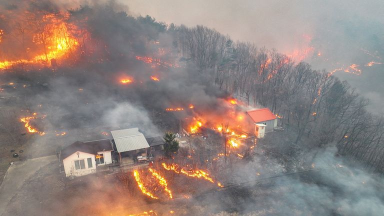 South Korean wildfires spread, three more disaster zones named