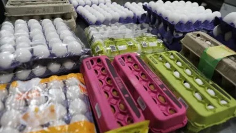 Illegal eggs seized by US border force. Pic: US Customs and Border Protection