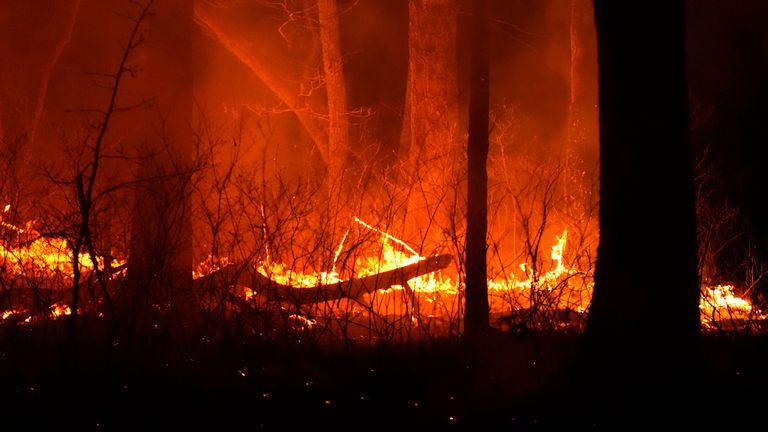 A fire burns on Tuesday, April 22, 2025, near Waretown, N.J. (AP Photo/Chris Szagola)