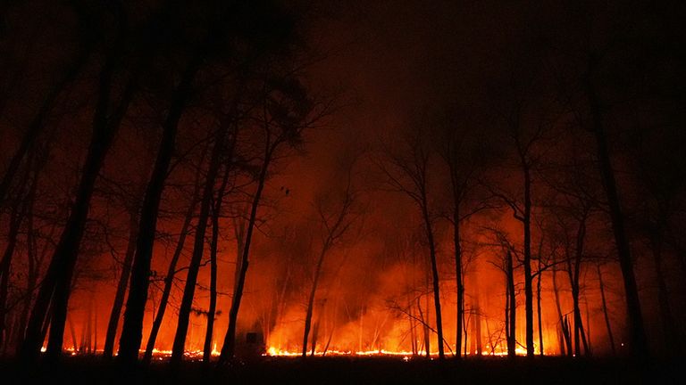 A fire burns on Tuesday, April 22, 2025, near Waretown, N.J. (AP Photo/Chris Szagola)