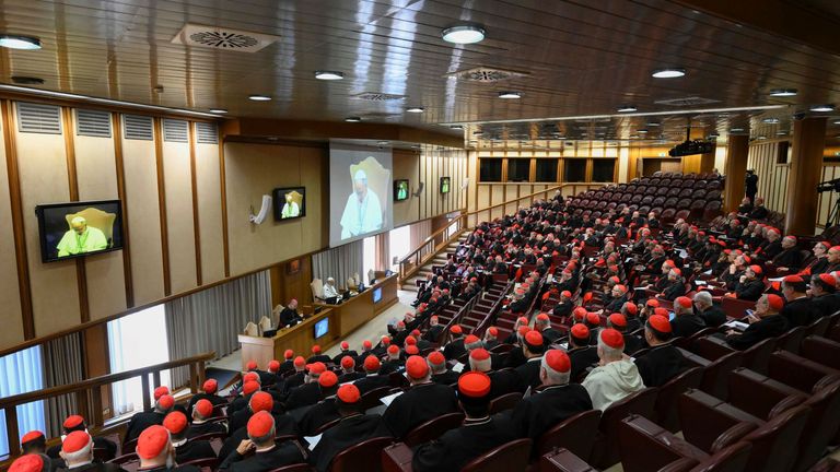 Pope Leo XIV identified AI as major challenge to humanity. Pic: Vatican Media/AP